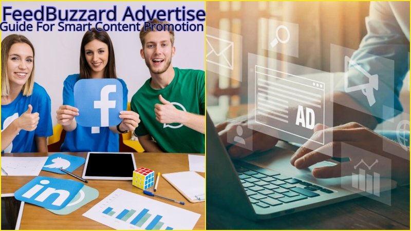 FeedBuzzard Advertise